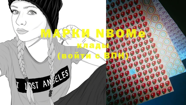 сатива Тобольск