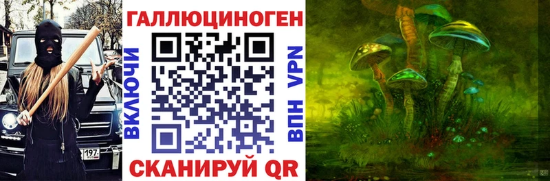 Купить где  Шумерля  Галлюциногенные грибы GOLDEN TEACHER 